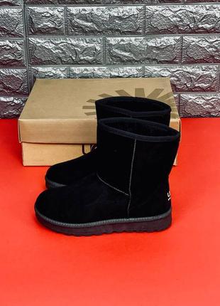 Чоловічі уги ugg australia, зимові якісні уги 36-452 фото