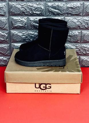 Чоловічі уги ugg australia, зимові якісні уги 36-456 фото