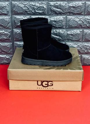 Чоловічі уги ugg australia, зимові якісні уги 36-459 фото