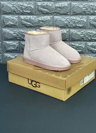 Ugg australia уги чоловічі, зимові уги натуральний замш 36-452 фото