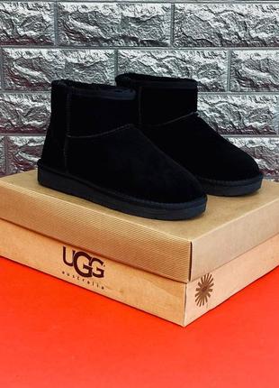 Уги чоловічі ugg australia, чорні зимові замшеві уги новинка!8 фото