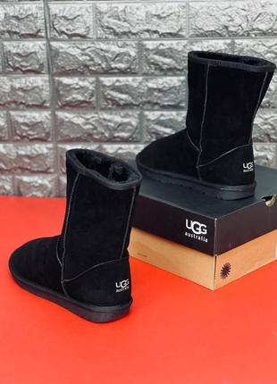 Замшеві чоловічі уги ugg australia, зимові чорні уги топ 20235 фото