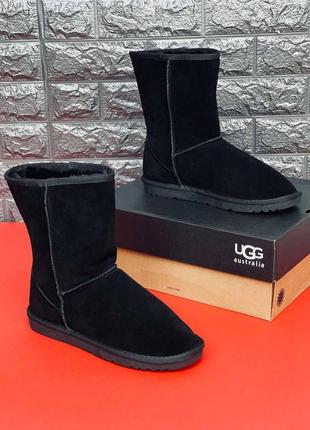 Замшеві чоловічі уги ugg australia, зимові чорні уги топ 20236 фото