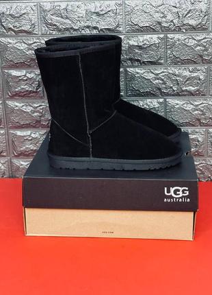 Замшеві чоловічі уги ugg australia, зимові чорні уги топ 20237 фото