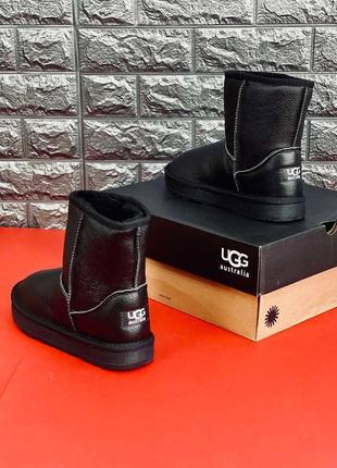 Чоловічі уги ugg australia, зимові уги з натуральної шкіри7 фото