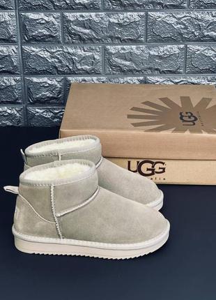 Ugg australia уги жіночі, бежеві зимові уги натуральний замш