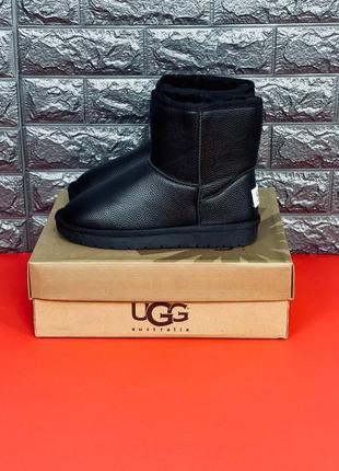 Уги чоловічі ugg australia, зимові уги з натуральної шкіри8 фото