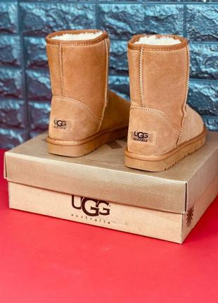 Чоловічі уги ugg australia, зимові шкіряні хутряні уги 36-45