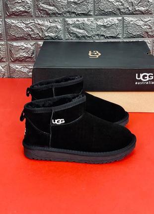 Чоловічі уги ugg australia, зимові шкіряні хутряні уги 36-454 фото