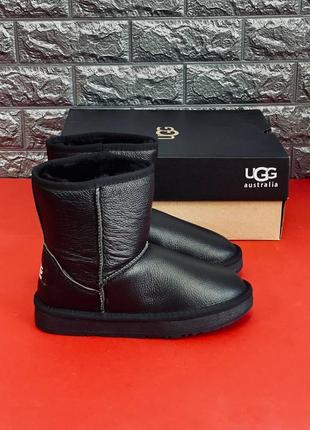 Уги чоловічі ugg australia, зимові уги з натуральної шкіри 36-453 фото