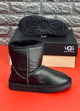 Уги чоловічі ugg australia, зимові уги з натуральної шкіри 36-457 фото