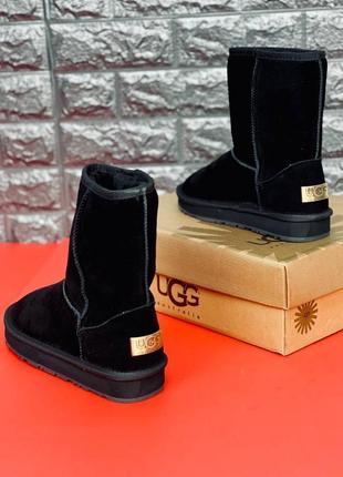 Уги чоловічі ugg australia, зимові високі шкіряні уги 36-452 фото