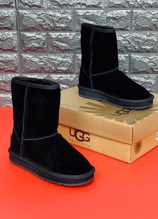 Уги чоловічі ugg australia, зимові високі шкіряні уги 36-453 фото