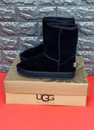 Уги чоловічі ugg australia, зимові високі шкіряні уги 36-455 фото