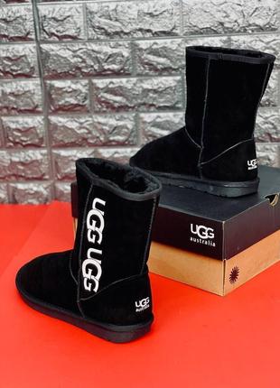 Уги ugg australia чоловічі, зимові уги з натуральної шкіри 36-452 фото