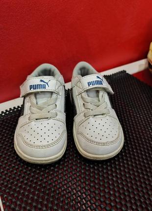 Кроссовки puma1 фото