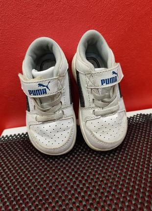 Кроссовки puma5 фото