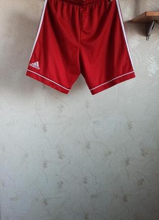 Спортивные шорты adidas2 фото