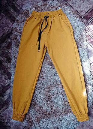 Спорт джогери