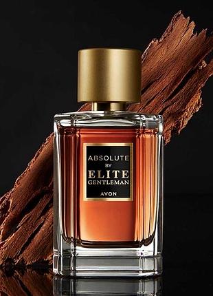 Туалетна вода absolute by elite gentleman для нього (50 мл) avon