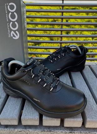 Кожаные кроссовки ecco biom8 фото