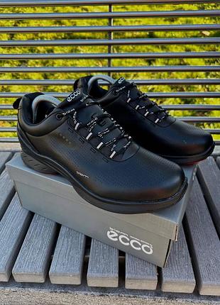 Кожаные кроссовки ecco biom5 фото