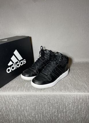 Мужские кожаные кроссовки adidas hoops 2.0 mid2 фото