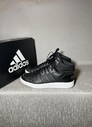 Мужские кожаные кроссовки adidas hoops 2.0 mid