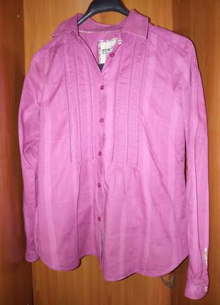 Рубашка блуза розовая esprit р.46-48,м,uk123 фото