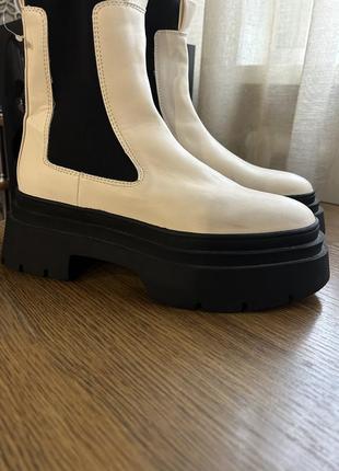 Челси mango 4