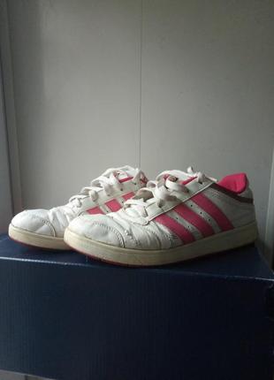 Кросівки фірмові adidas original