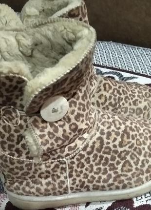 Угги, сапожки