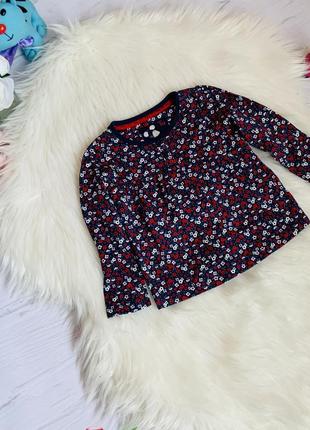 Новый реглан tu малышке 6-9 месяцев .