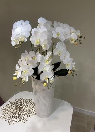 Орхидея латексная4 фото