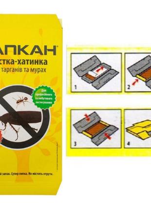 Клейова пастка для тарганів і мурах "капкан"