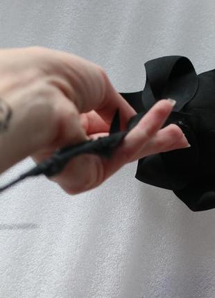 Черная лилия цветок для фотосессий