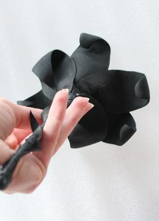 Черная лилия цветок для фотосессий3 фото