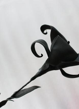 Черная лилия цветок для фотосессий