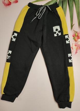 Гарні теплі штани на флісі для хлопчика 3/4 роки