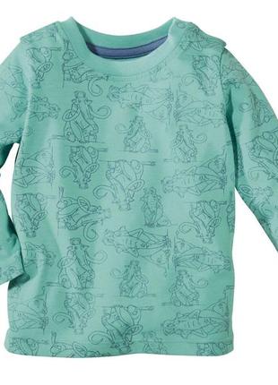 Реглан для хлопчика лупилу lupilu