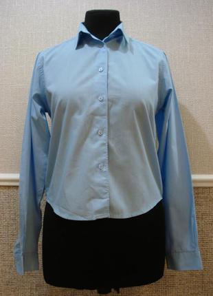 Класична сорочка з коміром бренд st.bernar