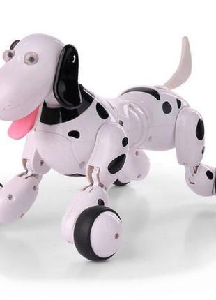 Робот-собака на радіокеруванні happycow smart dog чорний1 фото