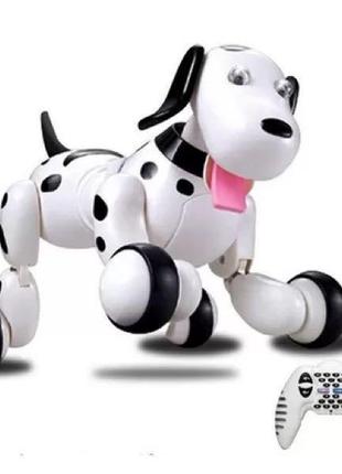 Робот-собака на радіокеруванні happycow smart dog чорний2 фото