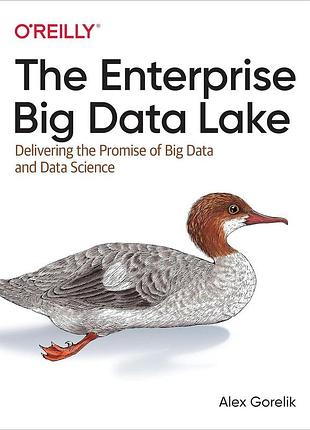 The enterprise big data lake: delivering the promise of big data and data science, alex gorelik