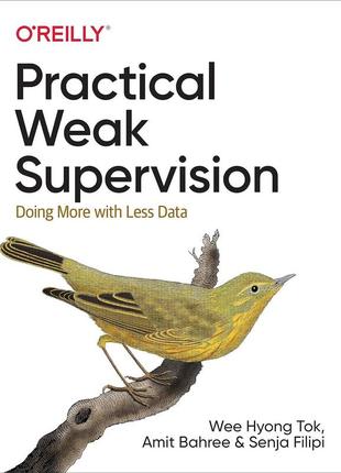 Practical weak supervision: doing more with less data, wee hyong tok, amit bahree, senja filipi, more