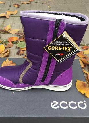 Детские сапоги  ecco jogga kids gore-tex  726562 580222 фото