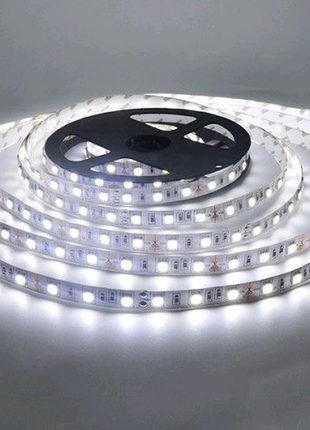 Led стрічка biom v2 smd5050-60 12v ip20 стандарт х-біла 1м