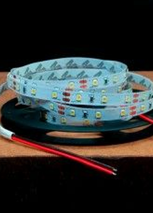 Led стрічка biom v2 smd2835-60 12v ip20 стандарт т-біла 1м2 фото