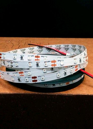 Led стрічка biom v2 smd5050-60 12v ip65 стандарт х-біла 1м3 фото