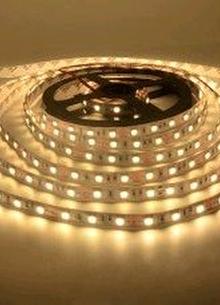 Led стрічка biom v2 smd5050-60 12v ip20 стандарт т-біла 1м1 фото